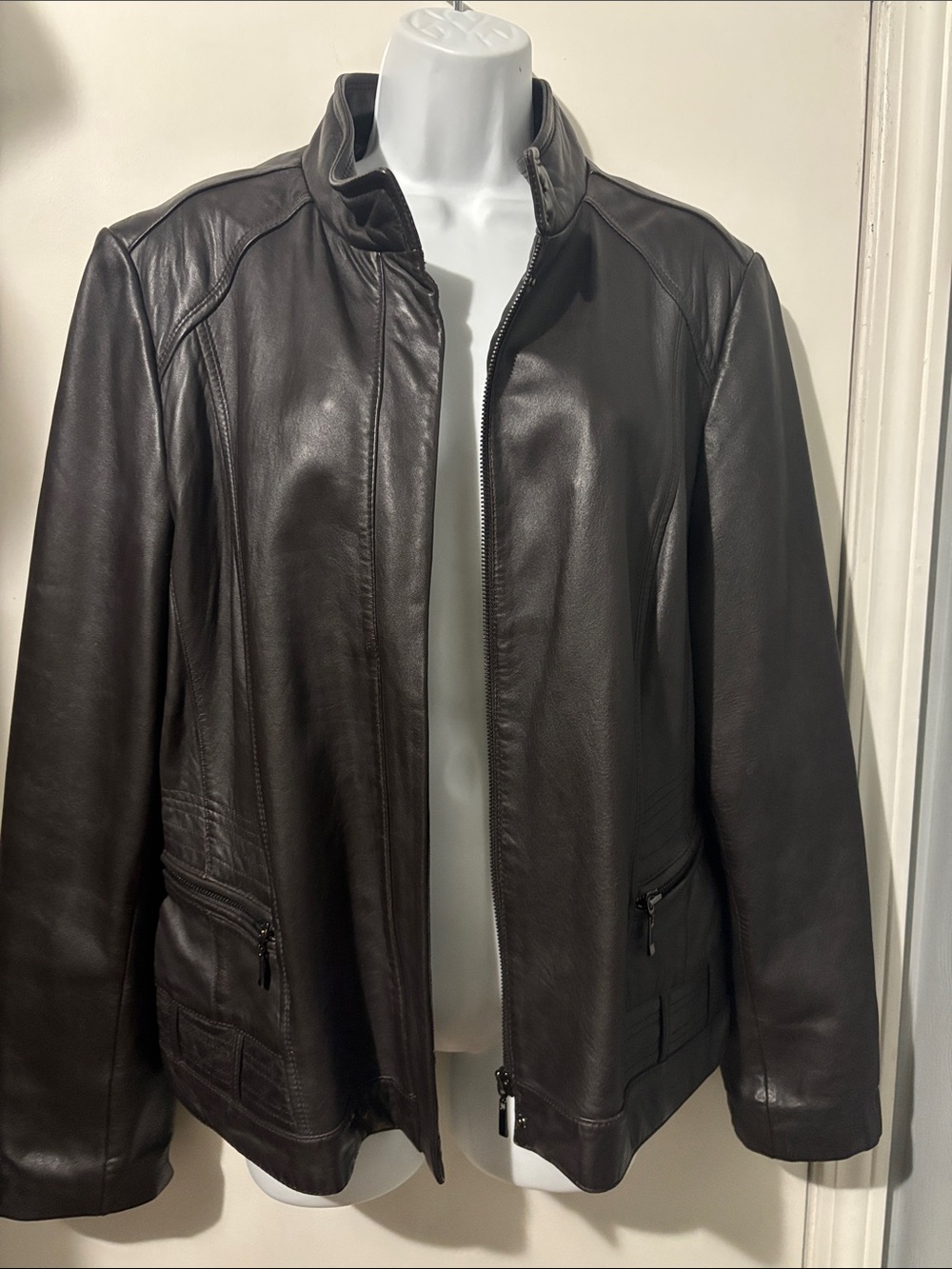 Ann Taylor Dark Brown Leather Bomber Jacket